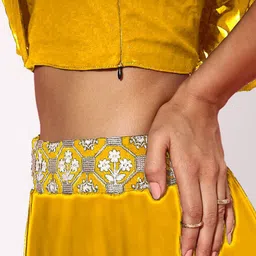 SANCIA Embroidered Crop Top & Skirt Co-Ords image 4
