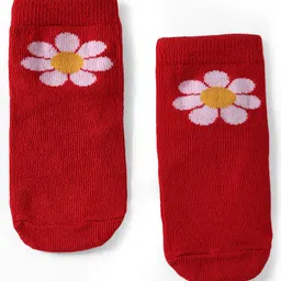Cute Walk by Babyhug Knit Ankle Length Anti Bacterial Socks With Floral & Heart Design Pack of 5 - Multicolor image 4