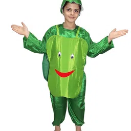 Kaku Fancy Dresses Kids Capsicum Vegetables Costume Set-image-98
