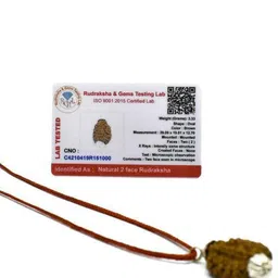 AURRA STORES Brown Rudraksh Chain image 2