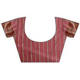 Astita Organza Saree image 5