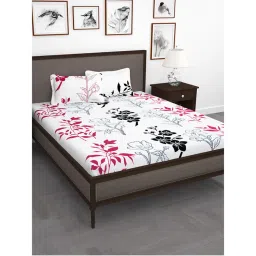 Story@Home 210 TC Cotton King Size Bedsheet with 2 Pillow Covers - White-picture-13