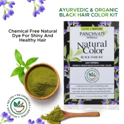 Panchvati Herbals Black Ayurvedic Natural Color image 2
