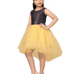 YK Net Girls Fit & Flare Dress image 4