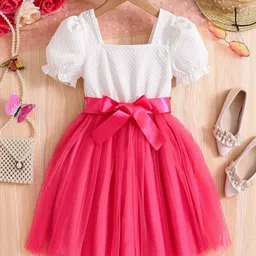 TIOR Floral Fit & Flare Dress image 3