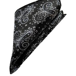 VOICI Printed Microfiber Pocket Squares-picture-11