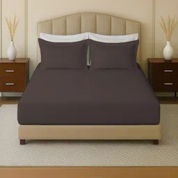 MAYFAIR HOMES LONDON Brown 144 TC King Bedsheet with 2 Pillow Covers-image-68