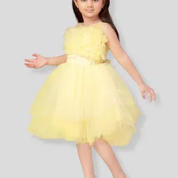 BAESD Ruffled Net Fit & Flare Midi Dress image 4