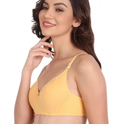 Liigne Pack Of 3 Solid Full Coverage Lightly Padded T-Shirt Bra image 2