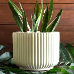 harla arts Pheonix(Large) Ivory Porcelain Floor Planters With Stand image 2