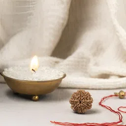 Gemsmantra Brown Wooden 8 Mukhi Nepali Rudraksha With Pendant image 2