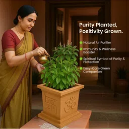 Go Hooked 9 Inch Pot Traditional Planter image 3