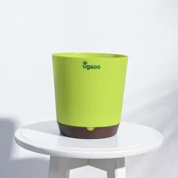 ugaoo Krish Multicolour Plastic (Set of 5) Planters image 2