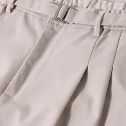 The Indian Garage Co Men Textured Pleated Regular Fit Regular Trousers image 4