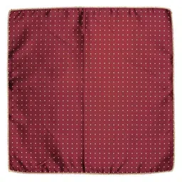 The Tie Hub Men Accessory Gift Set of Necktie with Pocket Square image 4