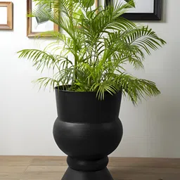 IAAH Carlo Metal Planter image 2