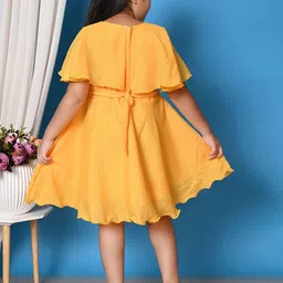 BARKAT DESIGNING PLANET Cape Sleeve Fit & Flare Dress image 2