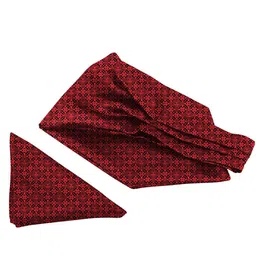 Blacksmith Men Printed Ascot Tie-image-5