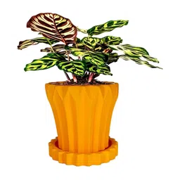 LASAKI Flory Orange-Colored Ceramic Handmade Planter With Plate-picture-15