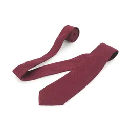 TADWILL Men Checked Broad Tie with Lapel Pin image 5