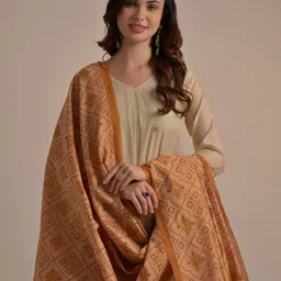 VISHNU WEAVES Women Geometric Woven Design Cotton Kurta with Palazzo & Dupatta image 3