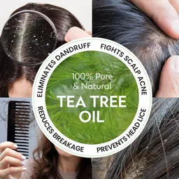 Pearlix Be Natural Tea Tree Oil For Scalp Nourishment & Anti Dandruff- 100 ml image 5