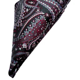 voici Ascot Tie & Pocket Square Combo image 2