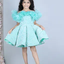 The Lush Affair Girls Net Embellished Printed Flutter Sleeve Fit & Flare Dress image 5