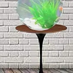 Somil Clear Glass Fish Pot image 4