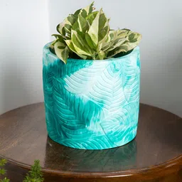 Greyt Blue Textured Cement Leaf Imprint Planter-picture-42