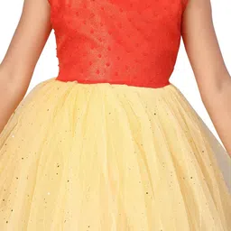 Aarika Net Fit & Flare Dress image 2