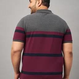 austivo Men Striped Polo Neck Cotton Blend Multicolor T-Shirt image 2
