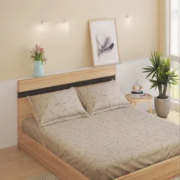 Home Centre Beige 144 TC King Bedsheet with 2 Pillow Covers-picture-25