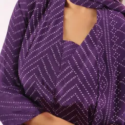 GoSriKi Women Ethnic Motifs Printed Panelled Kurta with Trousers & With Dupatta image 3