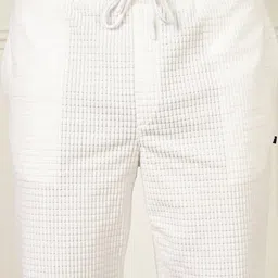 Thomas Scott Men Textured Self Design Regular Fit Mid-Rise Shorts image 2