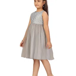 BAESD Net Fit & Flare Dress image 4