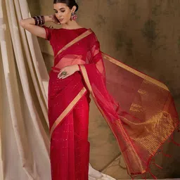 KALINI Striped Sequinned Saree-picture-13