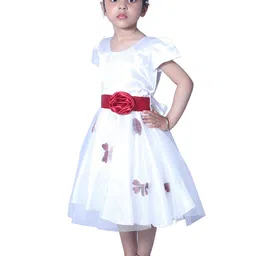 Wish little Cape Sleeve Net A-Line Dress image 4