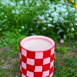 WEAVING HOMES Red & White Checked Ceramic Round Shaped Planters image 3