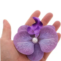 Beauty Flow Women Multi Plastic Alligator Hair Clip-picture-40