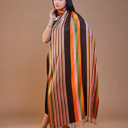 SWI Stylish Women Striped Printed Woolen Stole image 5