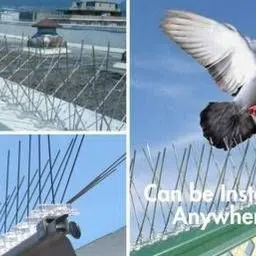 starhub Bird Spike image 2