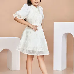 Peppermint Chiffon A-Line Mini Dress image 3