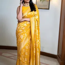 AQUILIQ Woven Design Zari Banarasi Saree-picture-34