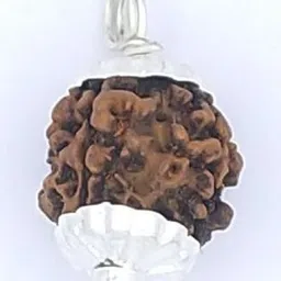 RAVIOUR LIFESTYLE Unisex 5 Mukhi Rudraksha Alloy Pendants-image-41