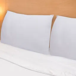 JDX Off White 2 Pieces Sleep Pillow-image-61