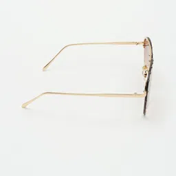 PELLE LUXUR Unisex Brown Lens & Brown Oversized Sunglasses with image 3