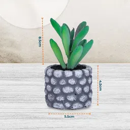 Ekhasa Green 1 Pieces Artificial Plant With Pot image 4