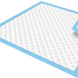 pin to pen Disposable Underpads Pack of 10 Adult Diapers - XL-picture-12