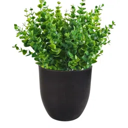 Dekorly Green Plastic Artificial Flowers & Plants With Pot image 2